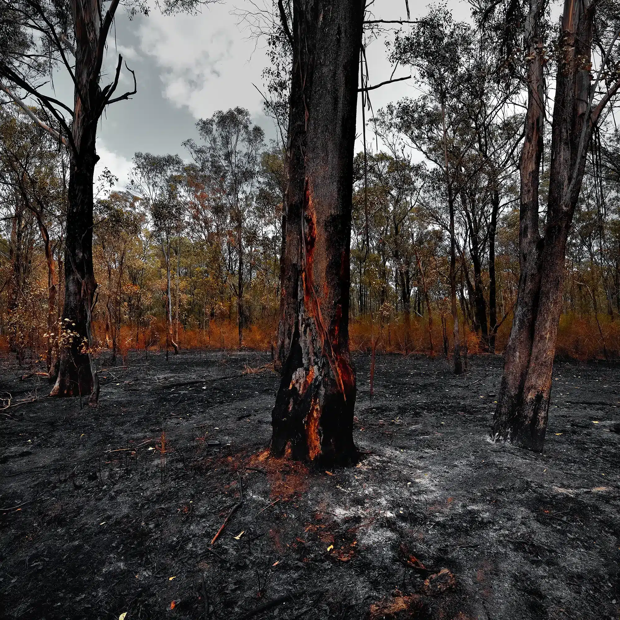 BACKBURN