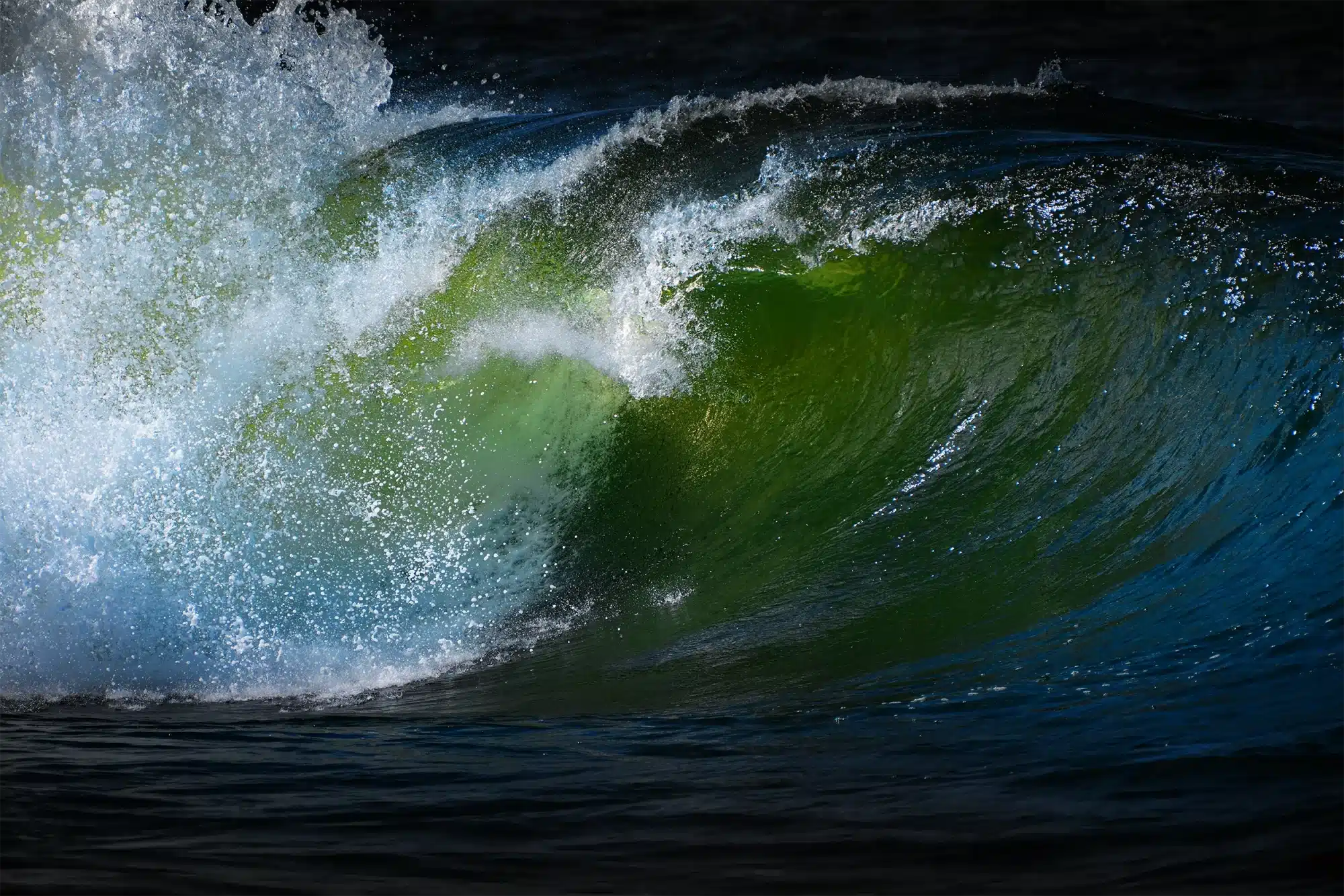 Green Curl  Wall Art