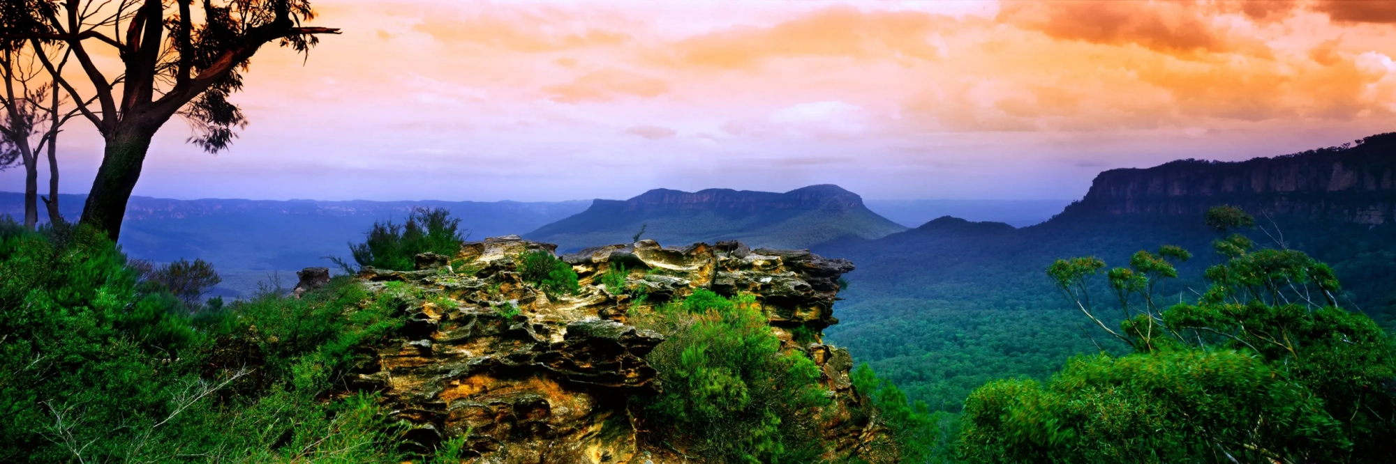 Jamison Valley  Wall Art