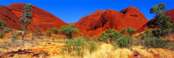 Olgas  Wall Art