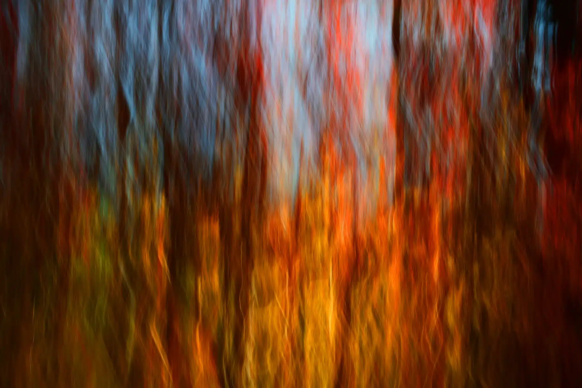 Radiant Glow  Wall Art
