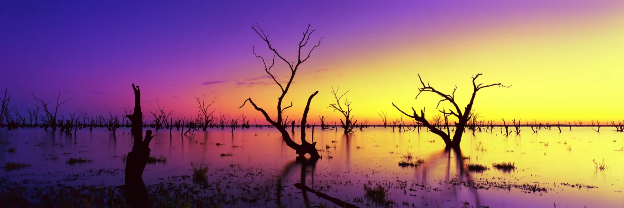 Silhouette Sunrise  Wall Art