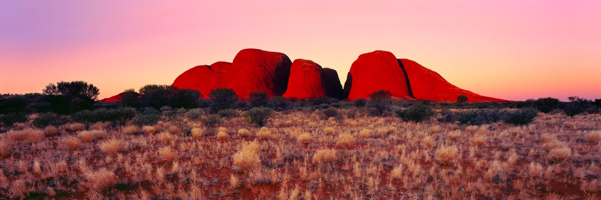 The Red Centre  Wall Art