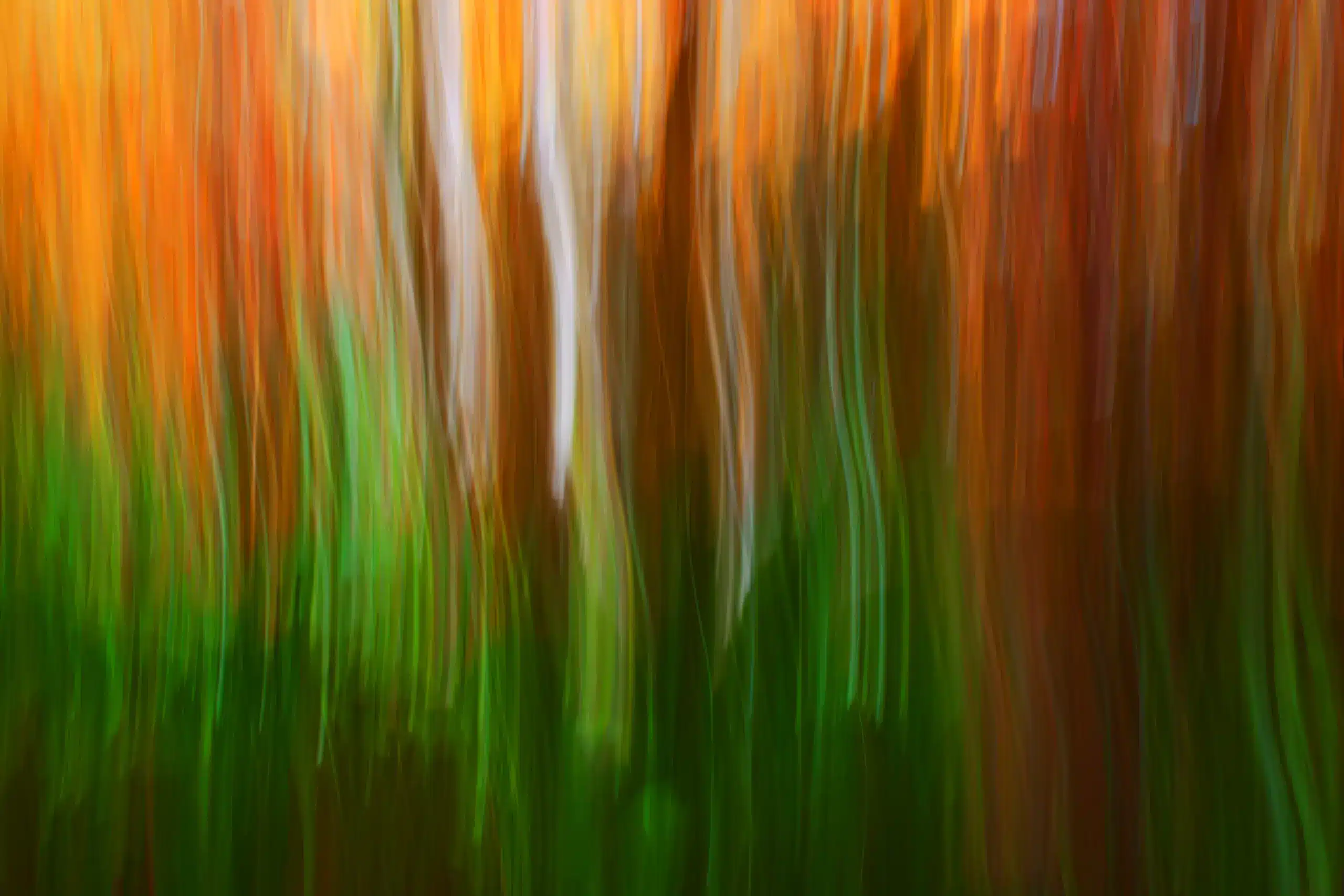 UNDER THE REEDS AB 36