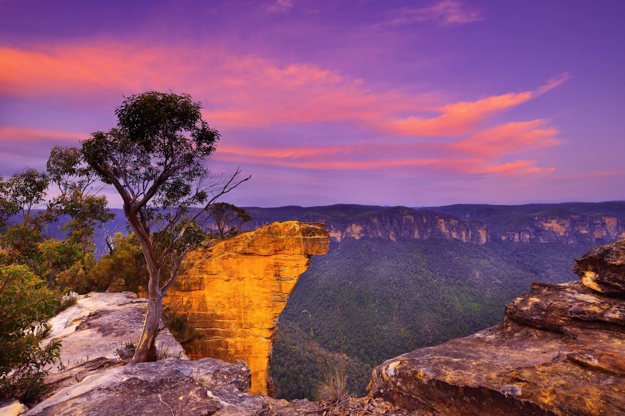 Blue Mountains Photography Workshop