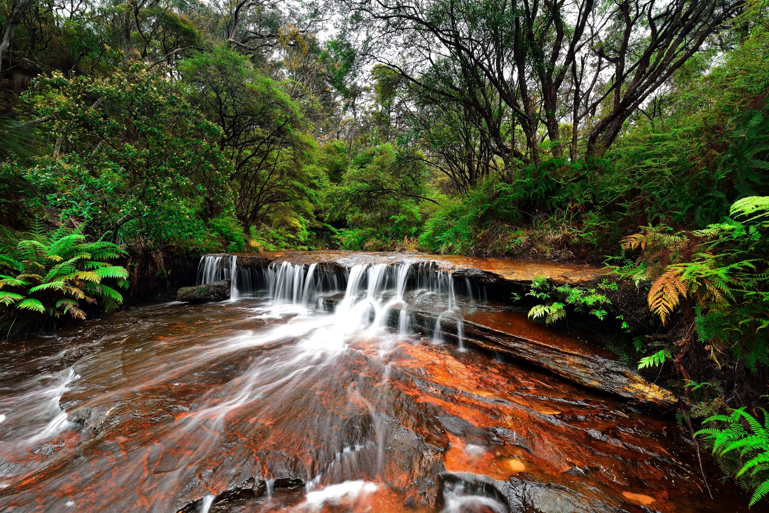 WENTWORTH FALLS 325A
