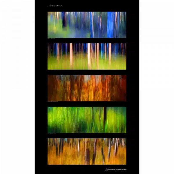 Artist Colour Proof Abstract 1  Wall Art