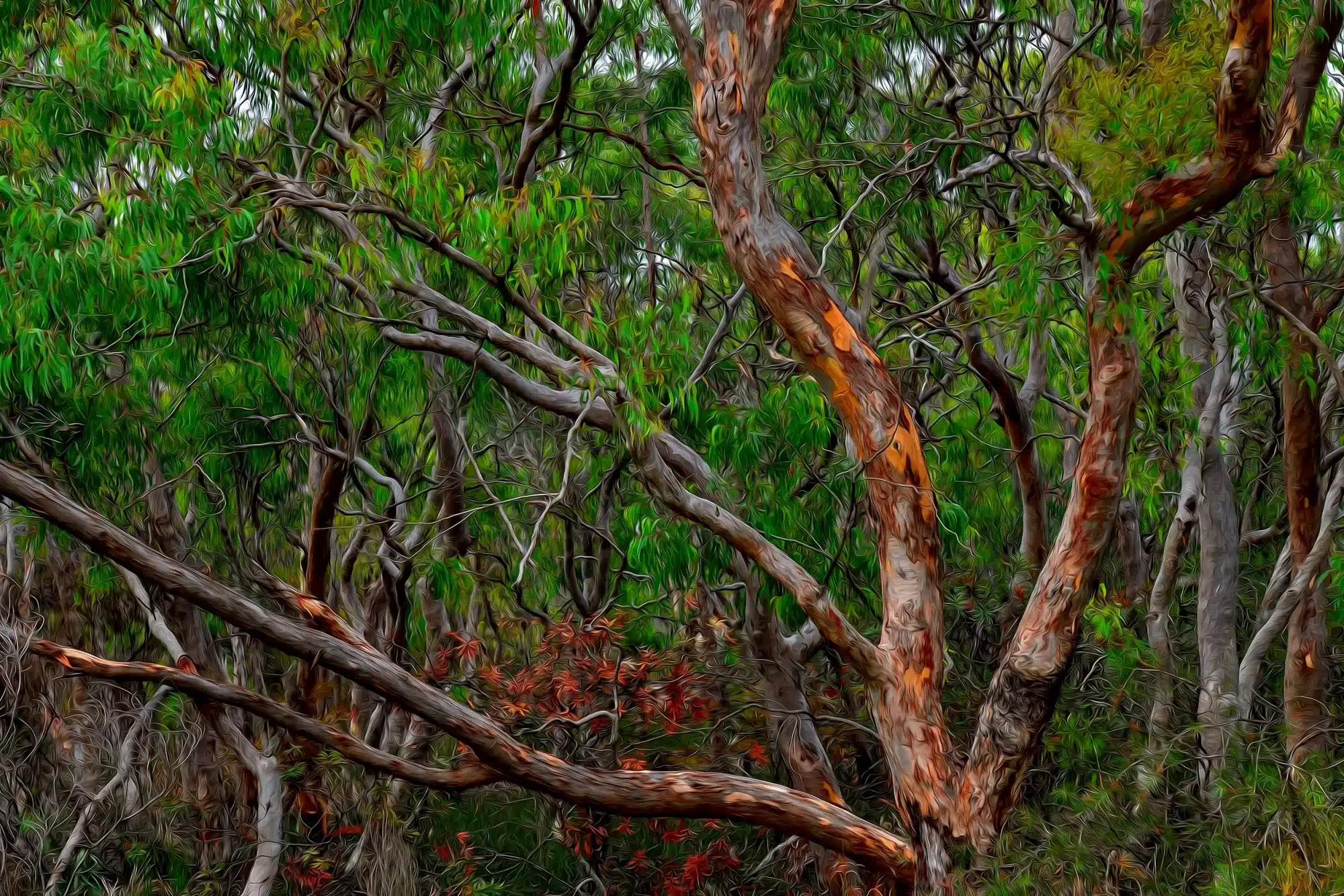 Twisted Brush Gum - Oil Brush  Wall Art