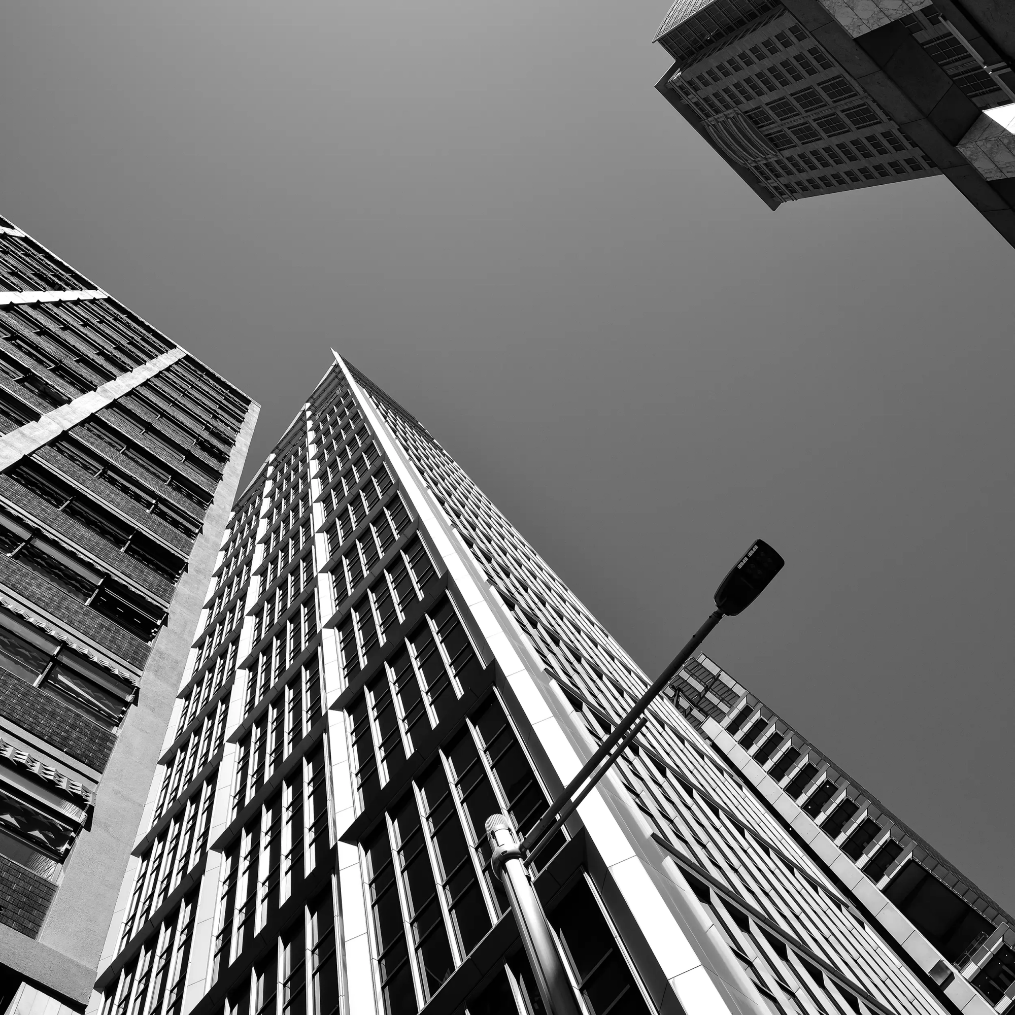 Look Up  Wall Art