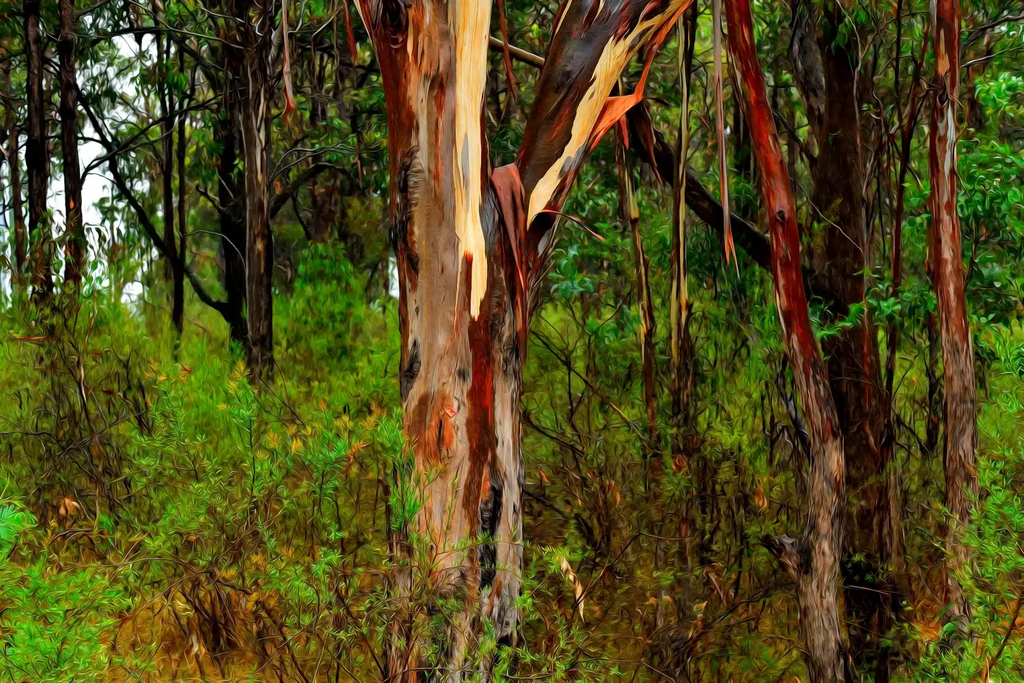 Wet Gums - Oil  Wall Art