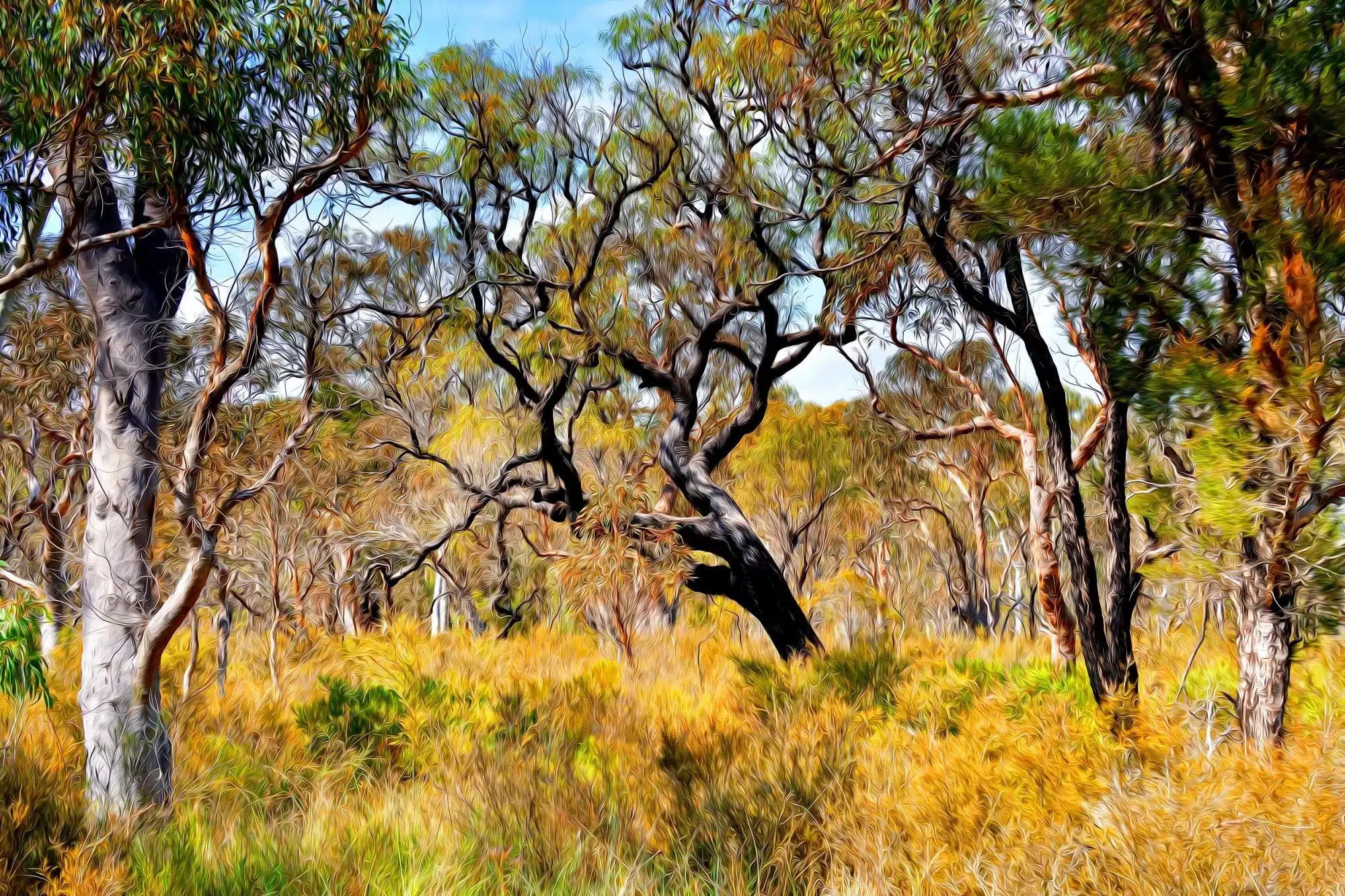 Wild Bush - Oil Brush  Wall Art