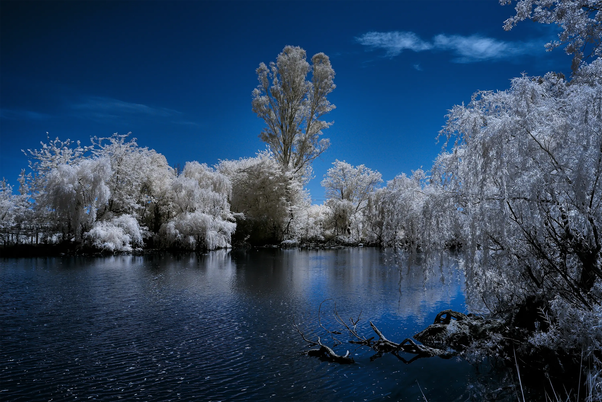 Blue Love IR 720 NM  Wall Art