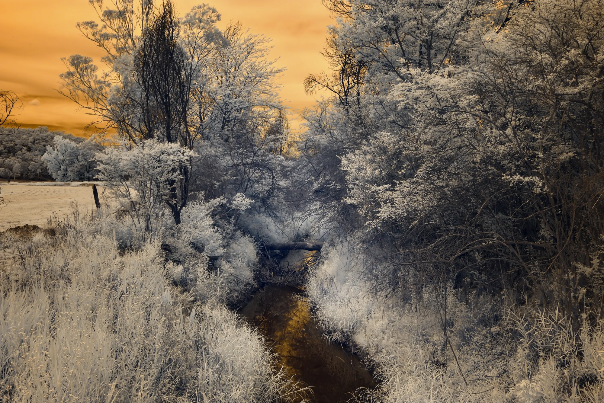 Chain O Ponds IR 720 NM  Wall Art