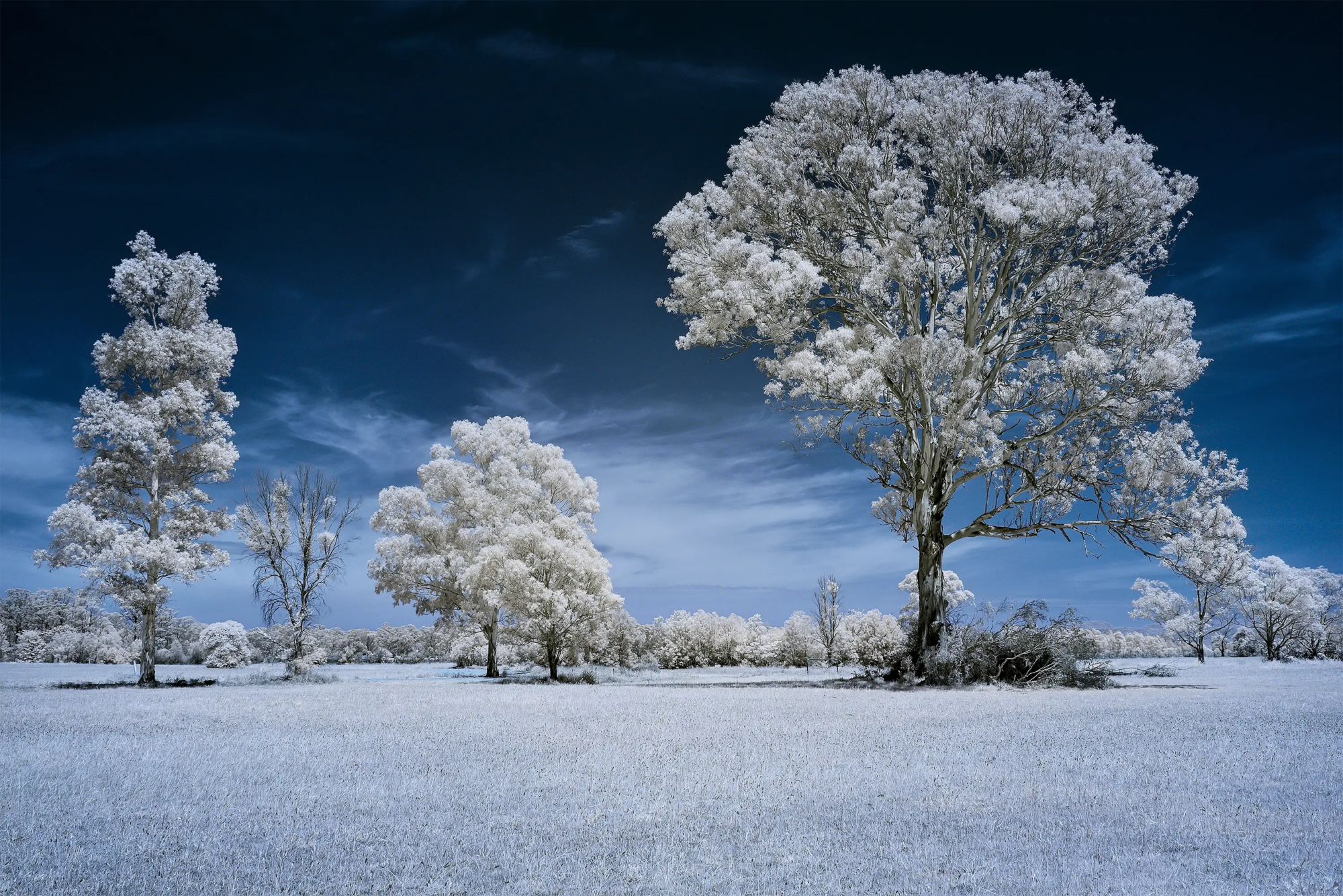 Clarendon Country IR 720 NM  Wall Art