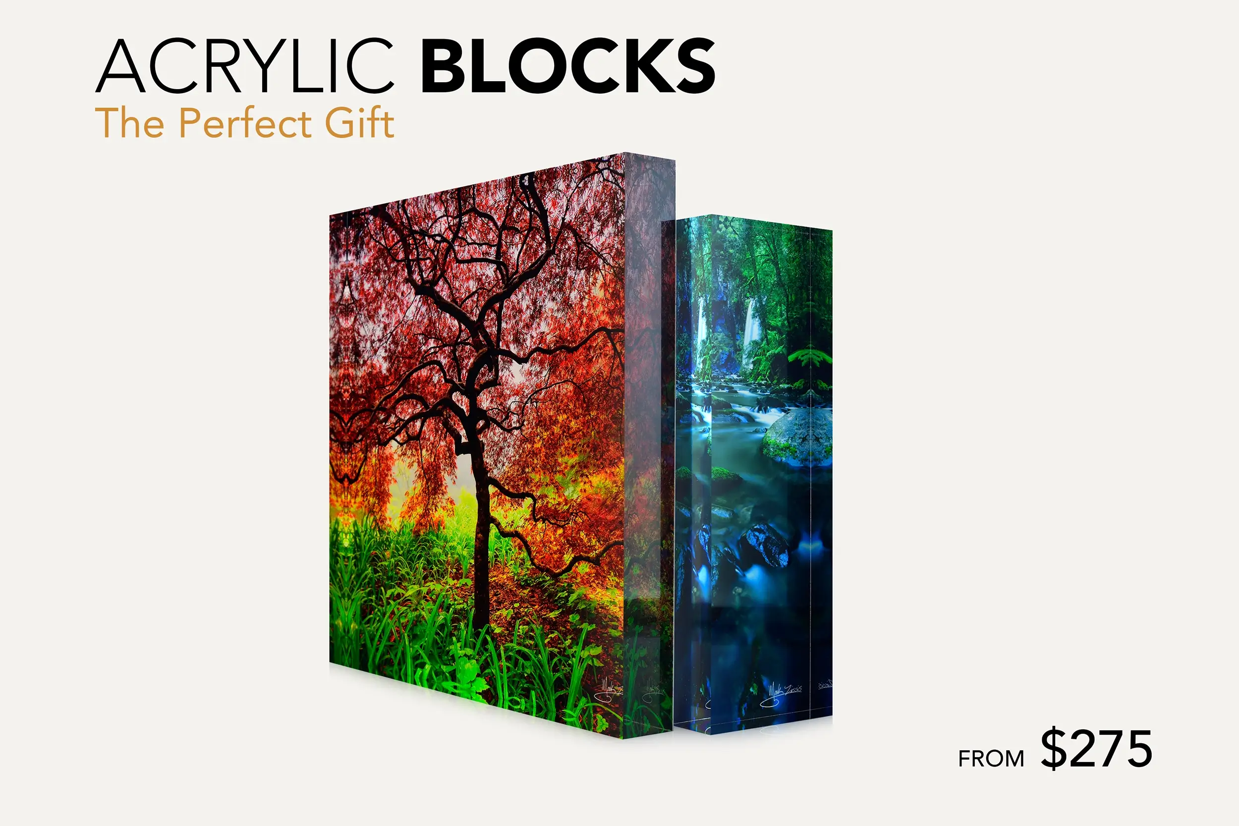 NEW WEB BLOCK TEMPLATE 2