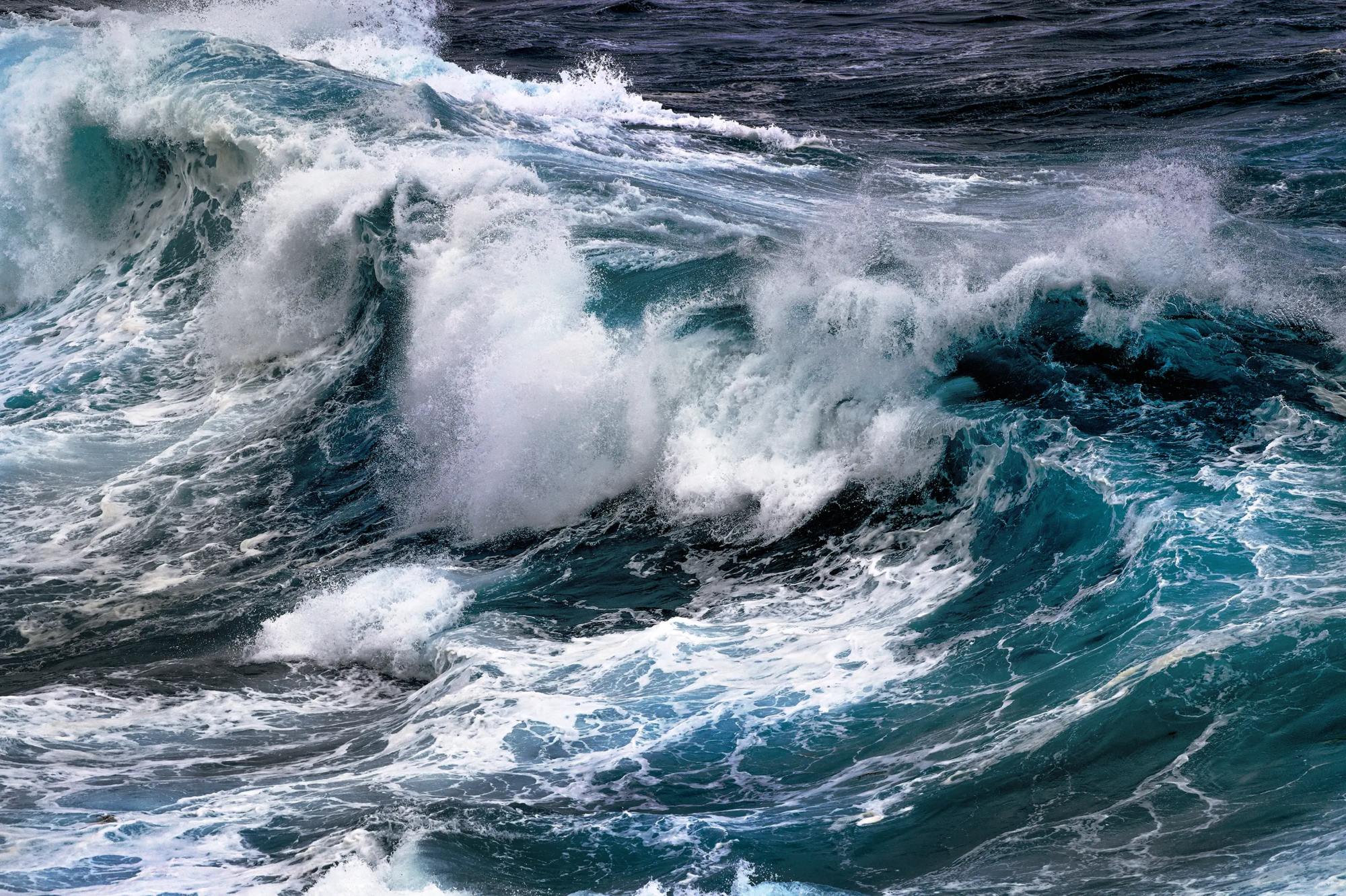 Ocean Spray  Wall Art