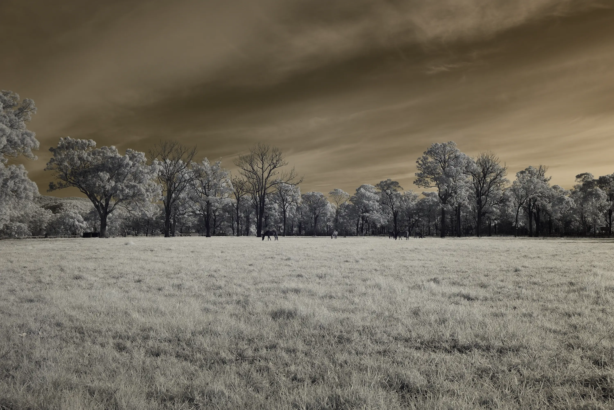 Tarnished Skies Wall Art