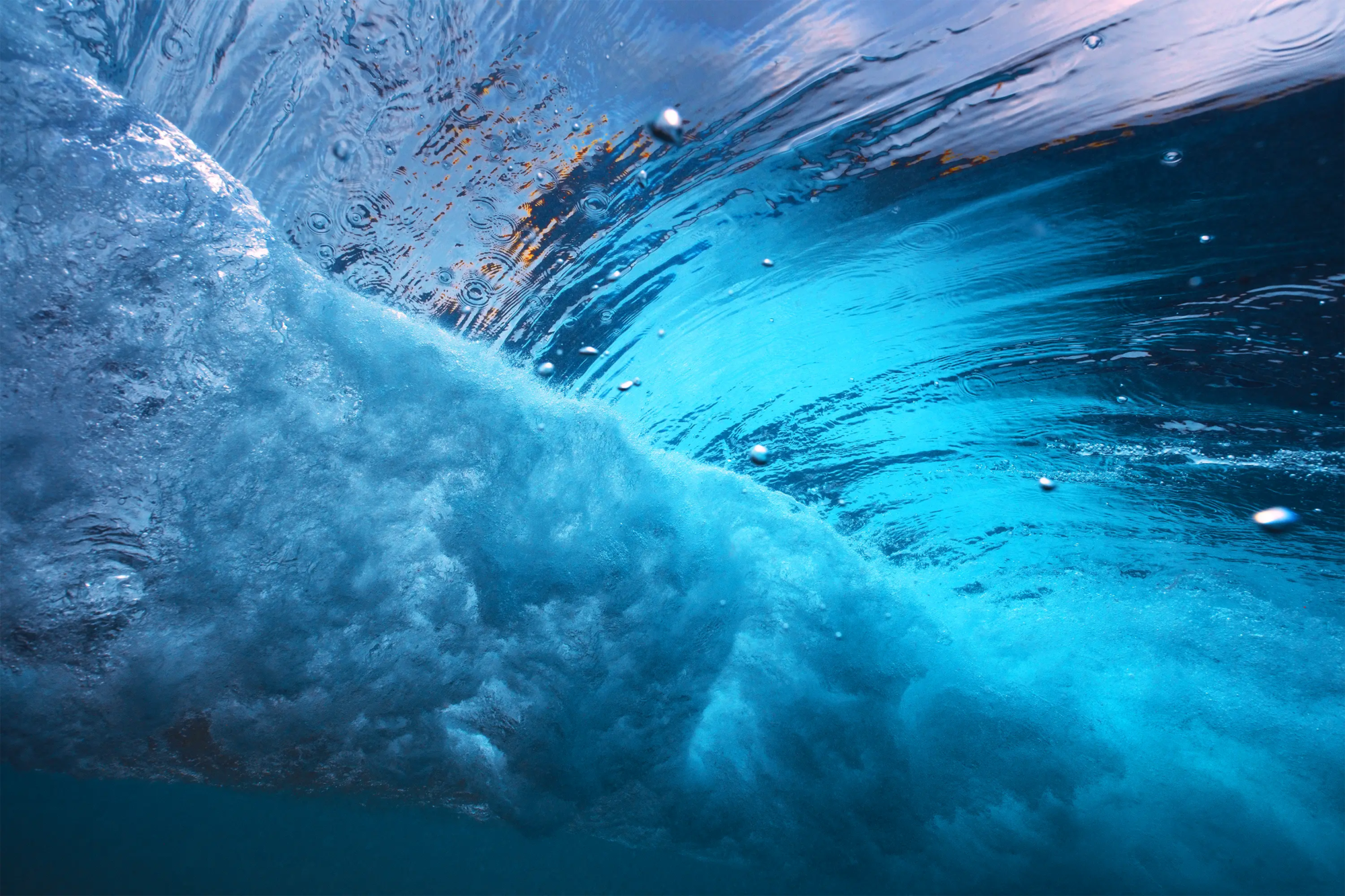 Reef Dreaming  Wall Art