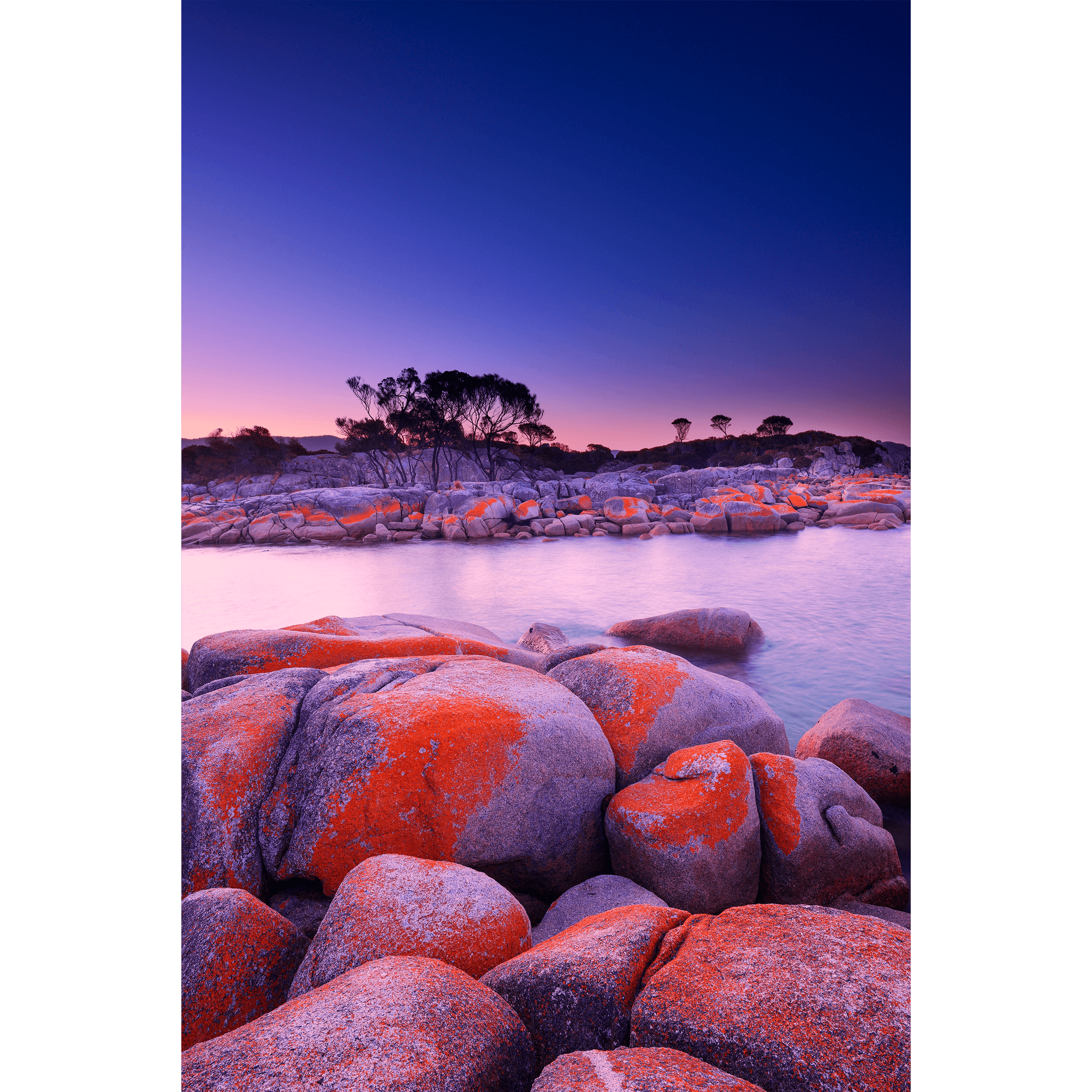Dusk Ignites