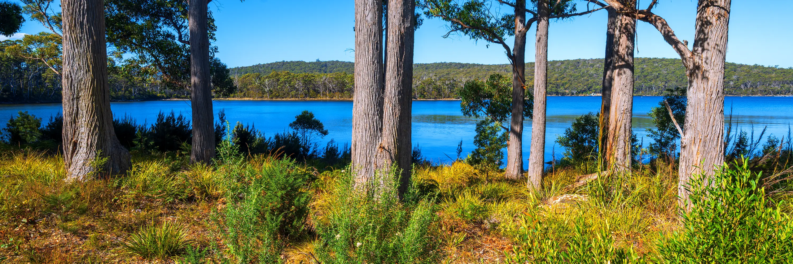 Port Arthur