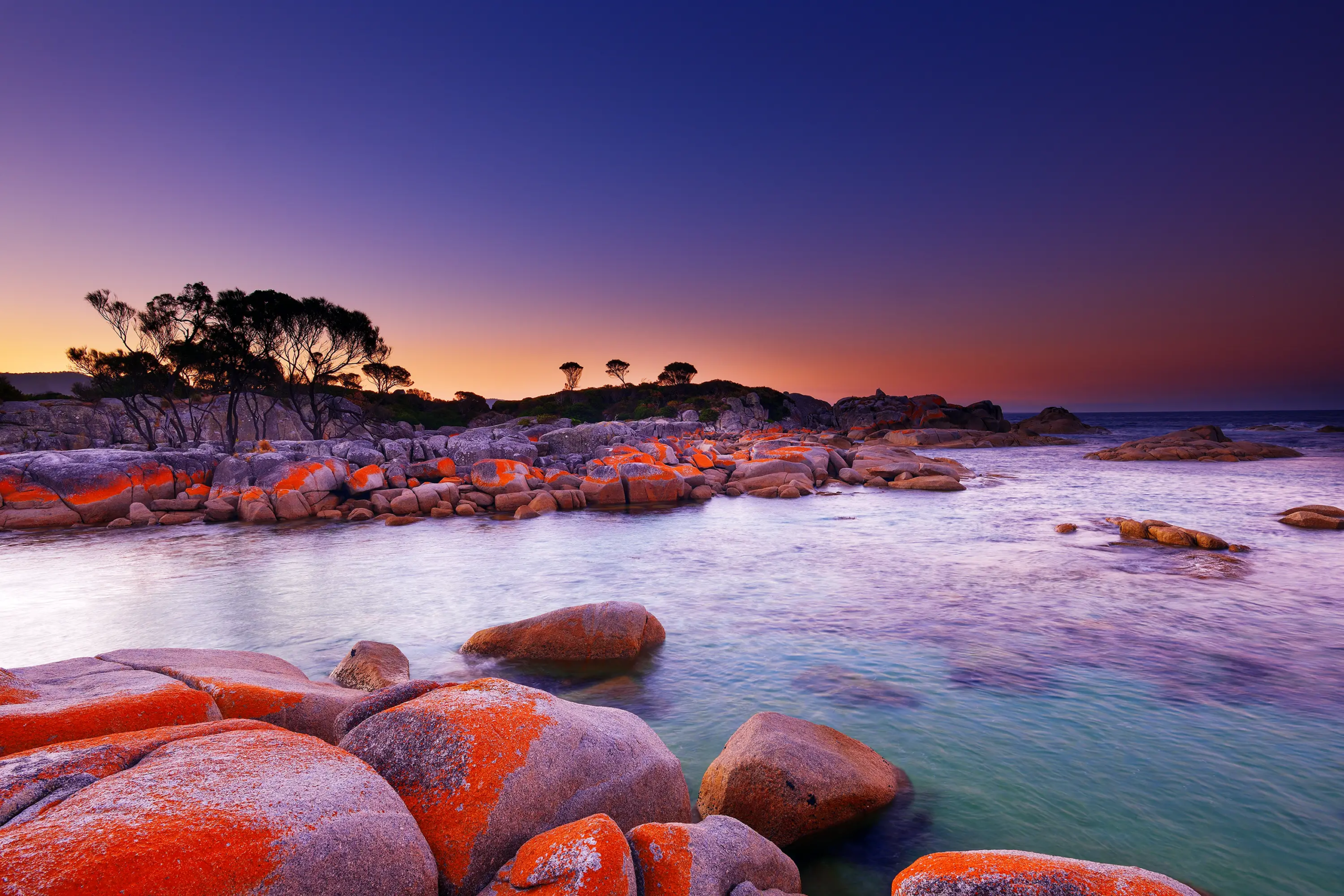 Wild Coast