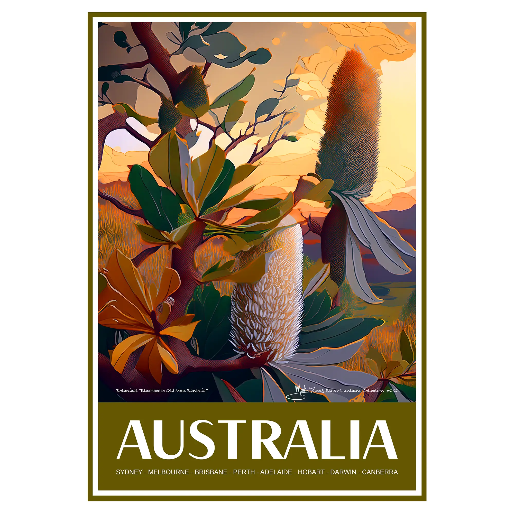 Vintage Travel Poster Australian Botanical Blackheath Old Man Banksia