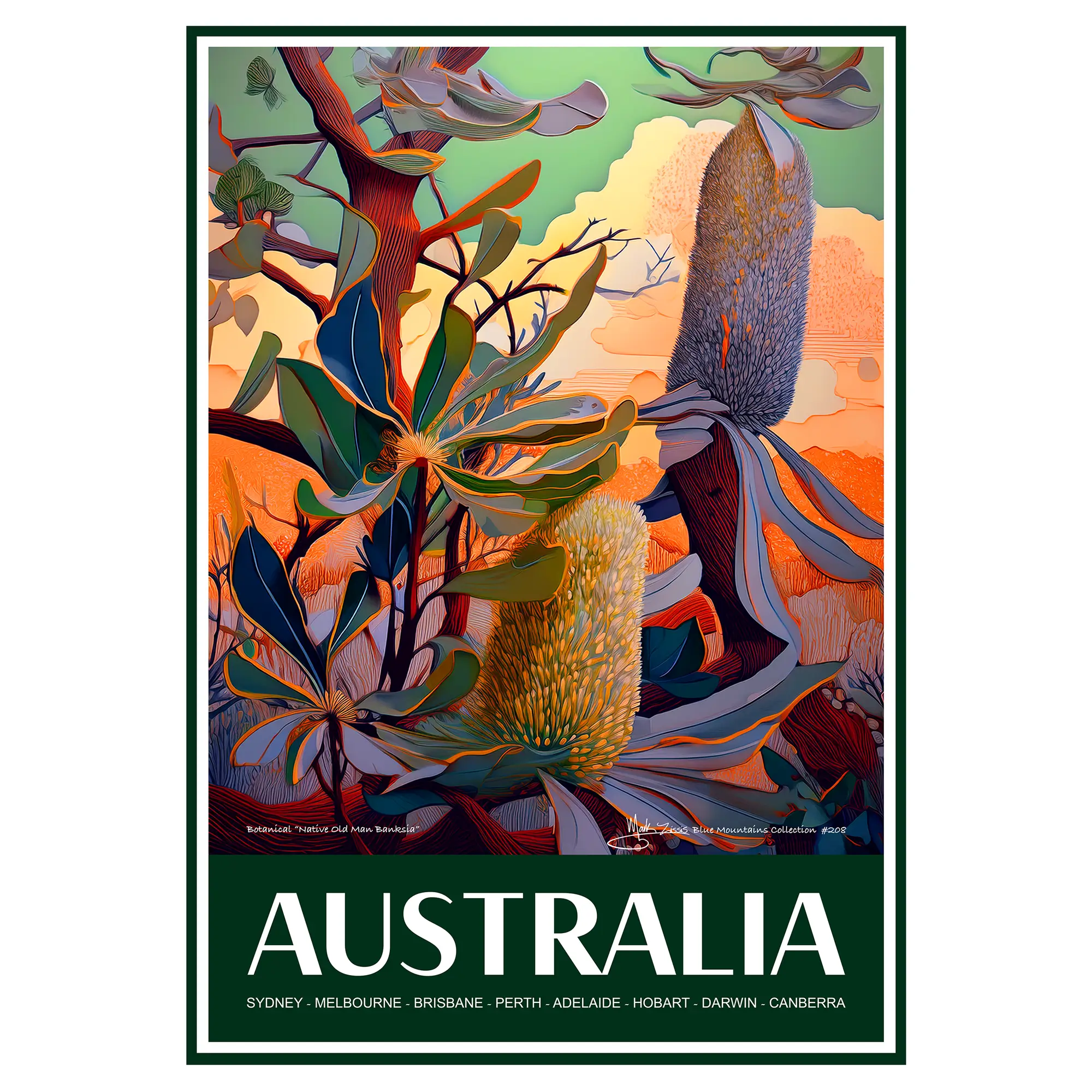 Vintage Travel Poster Australian Botanical Native Old Man Banksia